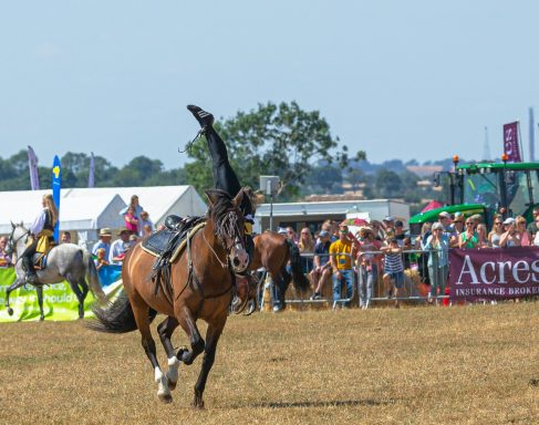 horse stunt team