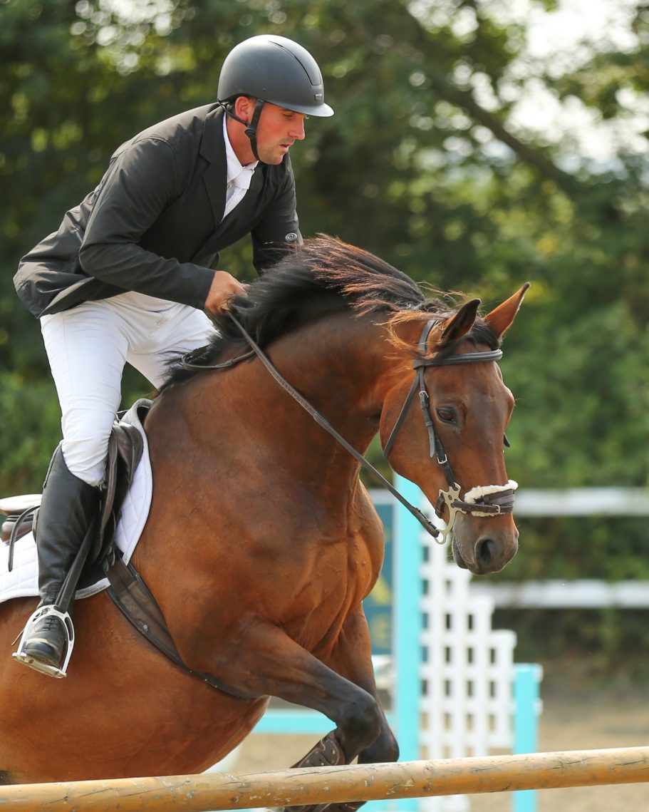 man on showjumping hosre in gloucestershire