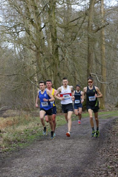 Rotary Club of the Royal Forest of Dean