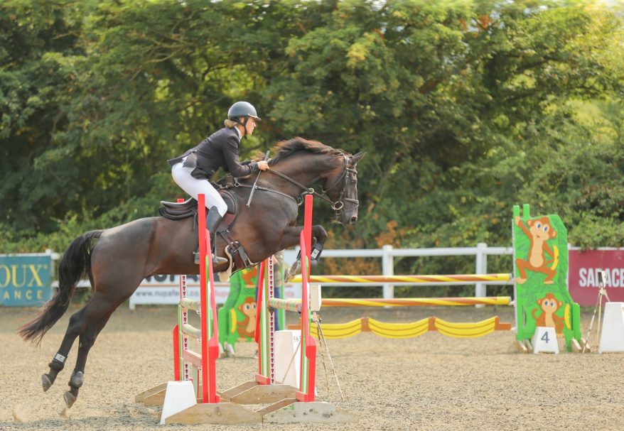 show jumper- equestrian event-horse just outside gloucester