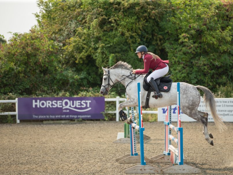 grey horse jumping hurdles